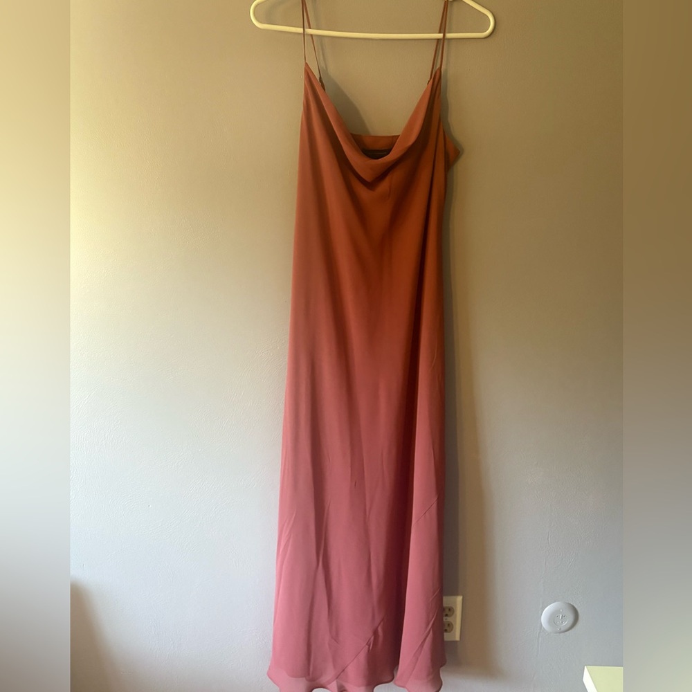 NWT Banana Republic Rose Satin Dress